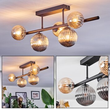 Chehalis Plafondlamp, Kogellampje Amber, Rookkleurig, 5-lichts
