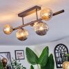 Chehalis Plafondlamp, Kogellampje Amber, Duidelijk, Rookkleurig, 5-lichts