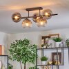 Koyoto Plafondlamp, Kogellampje Duidelijk, Rookkleurig, 5-lichts