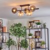 Koyoto Plafondlamp, Kogellampje Amber, Duidelijk, Rookkleurig, 5-lichts