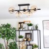 Koyoto Plafondlamp, Kogellampje Amber, Duidelijk, 5-lichts