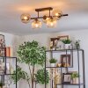 Koyoto Plafondlamp, Kogellampje Amber, Duidelijk, 5-lichts