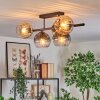 Ripoll Plafondlamp, Kogellampje Amber, Duidelijk, Rookkleurig, 5-lichts