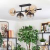 Ripoll Plafondlamp, Kogellampje Amber, Duidelijk, Rookkleurig, 5-lichts