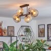 Ripoll Plafondlamp, Kogellampje Amber, Duidelijk, Rookkleurig, 6-lichts