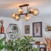 Ripoll Plafondlamp, Kogellampje Amber, Duidelijk, Rookkleurig, 6-lichts