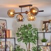 Koyoto Plafondlamp, Kogellampje Amber, Chroom, Duidelijk, Rookkleurig, 5-lichts