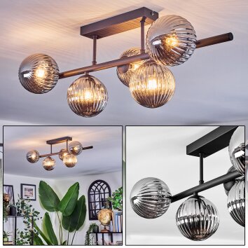 Chehalis Plafondlamp, Kogellampje Rookkleurig, 5-lichts