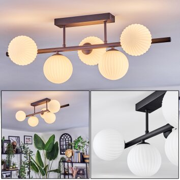 Chehalis Plafondlamp, Kogellampje Wit, 5-lichts