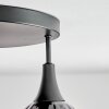 Rafel Plafondlamp Zwart, 3-lichts