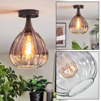 Rafel Plafondlamp Zwart, 1-licht