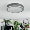 Salmi Plafondlamp, Paneel LED Grijs, Zilver, 1-licht