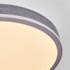 Salmi Plafondlamp, Paneel LED Grijs, Zilver, 1-licht