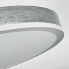 Salmi Plafondlamp, Paneel LED Grijs, Zilver, 1-licht