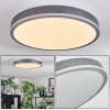 Salmi Plafondlamp, Paneel LED Grijs, Zilver, 1-licht
