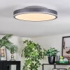 Salmi Plafondlamp, Paneel LED Grijs, Zilver, 1-licht