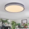 Salmi Plafondlamp, Paneel LED Grijs, Zilver, 1-licht