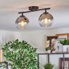 Koyoto Plafondlamp, Kogellampje Duidelijk, Rookkleurig, 2-lichts