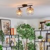 Koyoto Plafondlamp, Kogellampje Amber, Duidelijk, 2-lichts