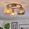 Ripoll Plafondlamp, Kogellampje Amber, Duidelijk, Rookkleurig, 3-lichts