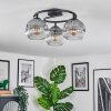 Ripoll Plafondlamp, Kogellampje Duidelijk, Rookkleurig, 3-lichts