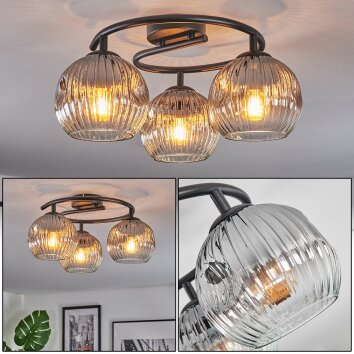 Ripoll Plafondlamp, Kogellampje Duidelijk, Rookkleurig, 3-lichts