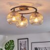 Ripoll Plafondlamp, Kogellampje Amber, Duidelijk, 3-lichts