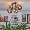 Ripoll Plafondlamp, Kogellampje Rookkleurig, 6-lichts