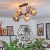 Ripoll Plafondlamp, Kogellampje Amber, Rookkleurig, 6-lichts