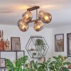 Ripoll Plafondlamp, Kogellampje Rookkleurig, 6-lichts