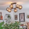 Ripoll Plafondlamp, Kogellampje Rookkleurig, 6-lichts