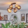 Ripoll Plafondlamp, Kogellampje Amber, Rookkleurig, 6-lichts