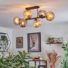 Ripoll Plafondlamp, Kogellampje Amber, Rookkleurig, 6-lichts