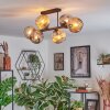 Ripoll Plafondlamp, Kogellampje Amber, Rookkleurig, 6-lichts