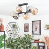 Ripoll Plafondlamp, Kogellampje Amber, Rookkleurig, 6-lichts