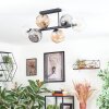 Ripoll Plafondlamp, Kogellampje Amber, Duidelijk, Rookkleurig, 6-lichts