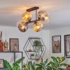 Ripoll Plafondlamp, Kogellampje Amber, Duidelijk, Rookkleurig, 6-lichts