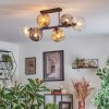 Ripoll Plafondlamp, Kogellampje Amber, Duidelijk, Rookkleurig, 6-lichts