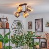 Ripoll Plafondlamp, Kogellampje Amber, Duidelijk, Rookkleurig, 6-lichts