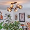 Ripoll Plafondlamp, Kogellampje Duidelijk, Rookkleurig, 6-lichts