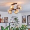 Ripoll Plafondlamp, Kogellampje Amber, Duidelijk, Rookkleurig, 6-lichts