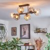 Ripoll Plafondlamp, Kogellampje Amber, Duidelijk, Rookkleurig, 6-lichts