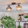 Koyoto Plafondlamp, Kogellampje Amber, Duidelijk, Rookkleurig, 2-lichts