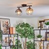 Koyoto Plafondlamp, Kogellampje Amber, Duidelijk, Rookkleurig, 2-lichts