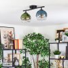 Koyoto Plafondlamp, Kogellampje Blauw, Groen, Duidelijk, 2-lichts