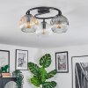 Ripoll Plafondlamp, Kogellampje Amber, Duidelijk, Rookkleurig, 3-lichts