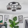 Ripoll Plafondlamp, Kogellampje Rookkleurig, 3-lichts