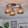 Ripoll Plafondlamp, Kogellampje Rookkleurig, 3-lichts