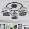 Ripoll Plafondlamp, Kogellampje Chroom, Rookkleurig, 3-lichts