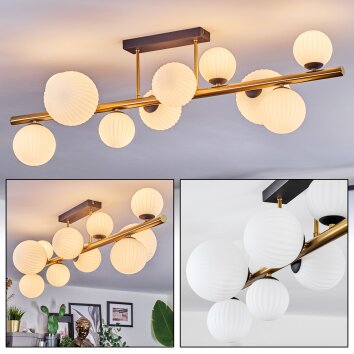 Chehalis Plafondlamp, Kogellampje Goud, Zwart, 10-lichts